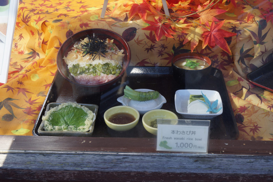 fresh real Wasabi in Matsumoto flavor