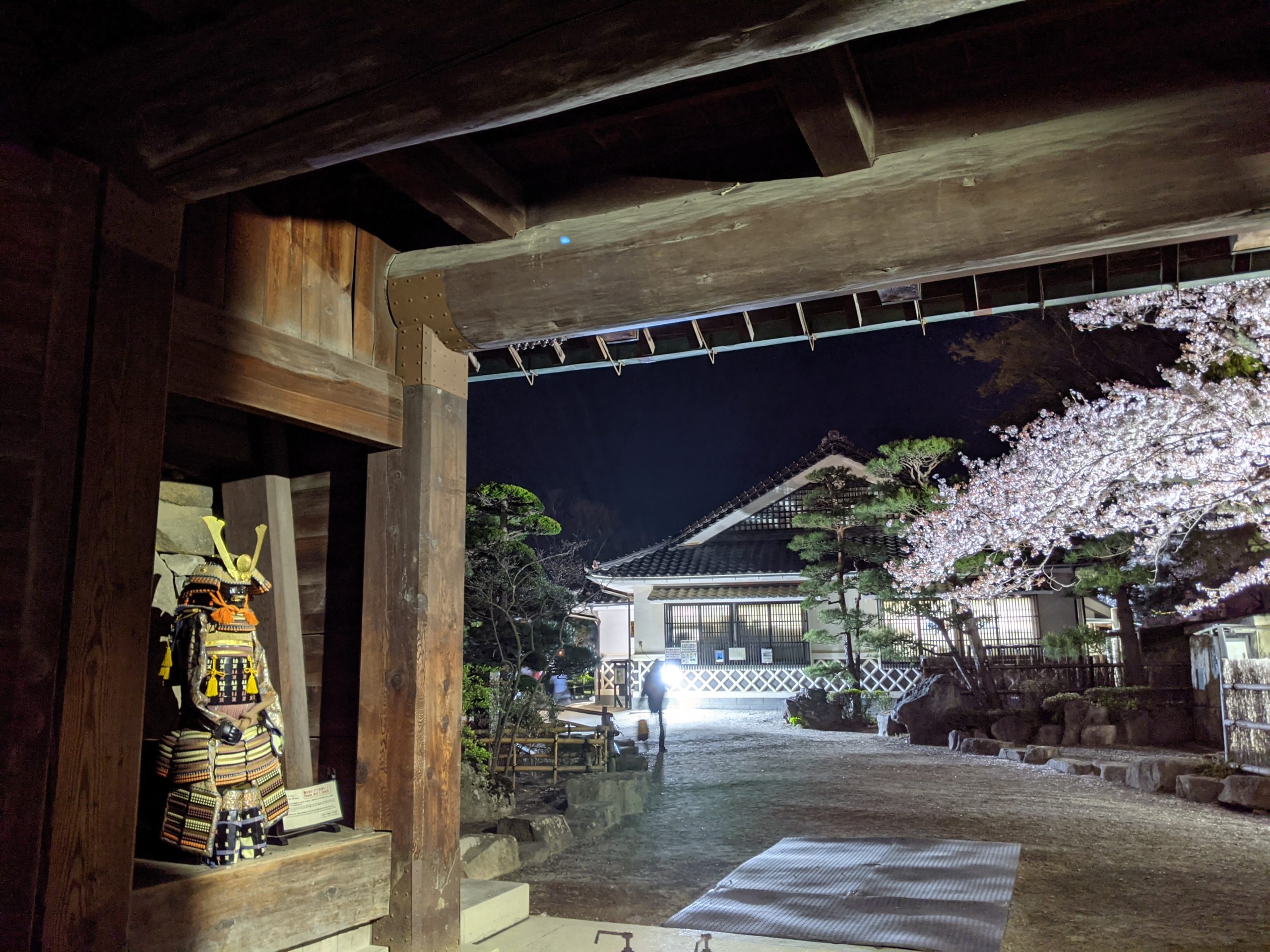Sakura at Matsumoto Castle samurai