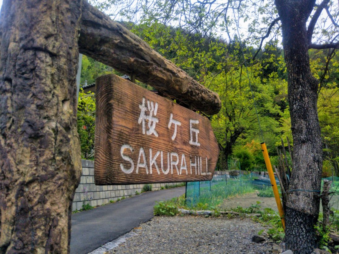 Randonnée et Histoire Sakura