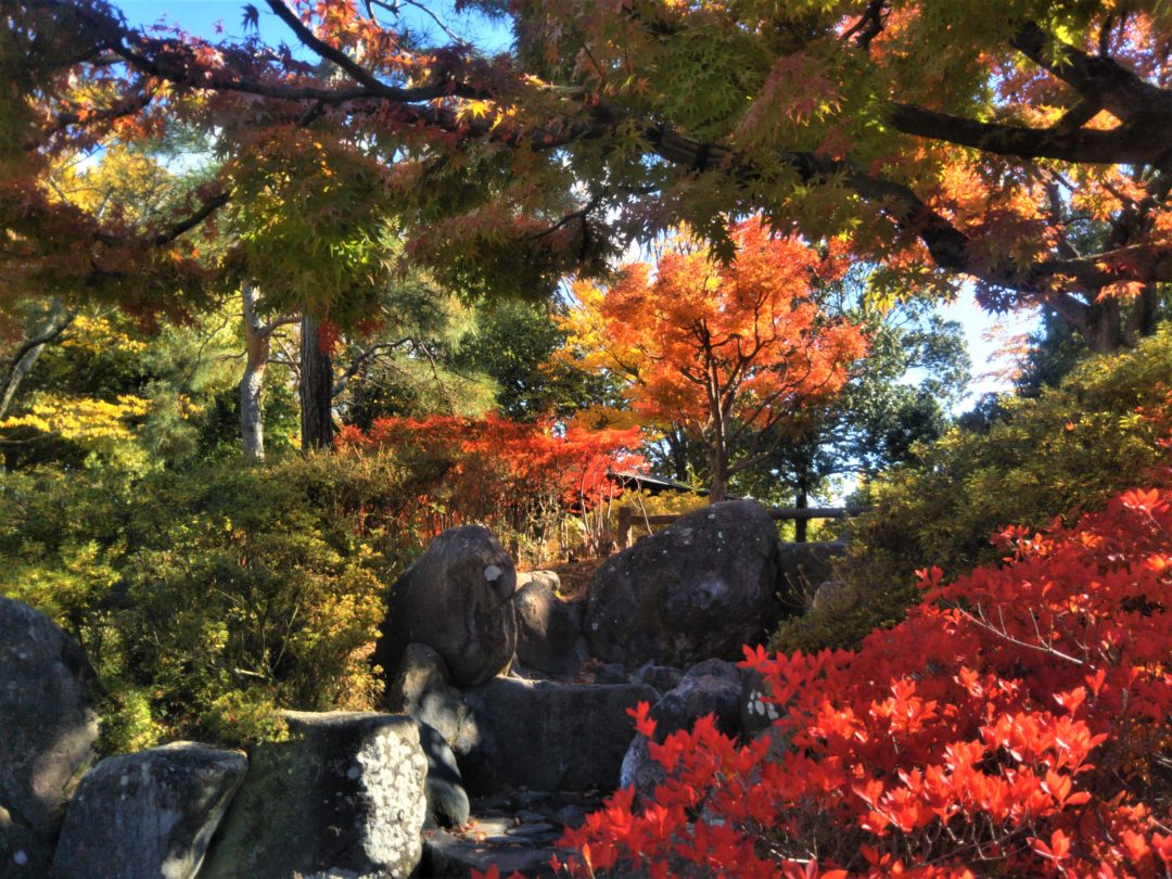 Matsumoto’s Spectacular Fall Colors visit