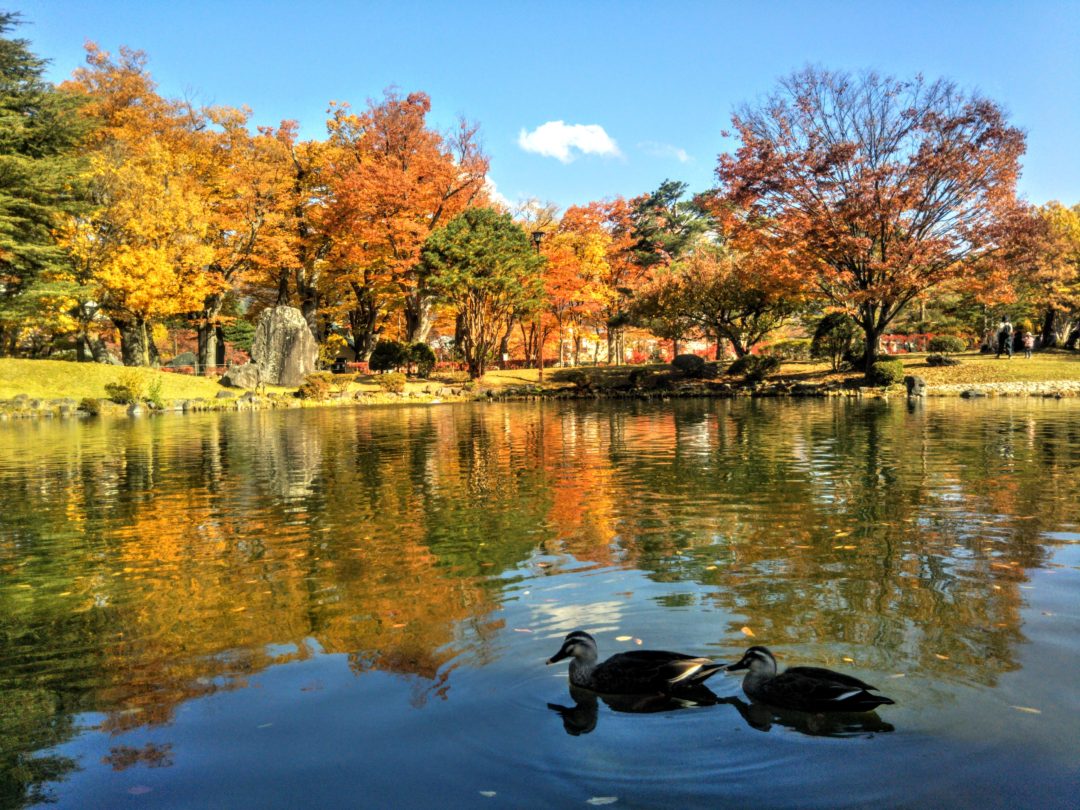 Matsumoto’s Spectacular Fall Colors pond