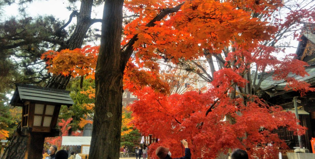 Matsumoto’s Spectacular Fall Colors Japan