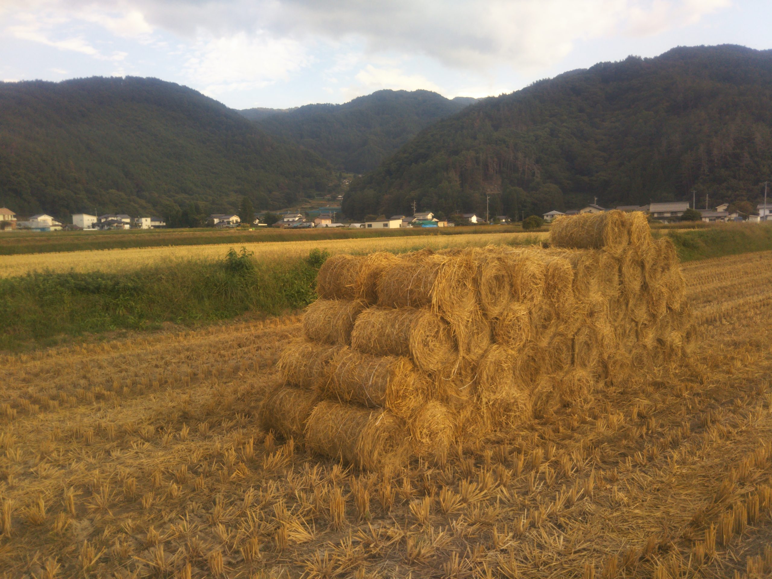 Life Outside the Castle Walls satoyama