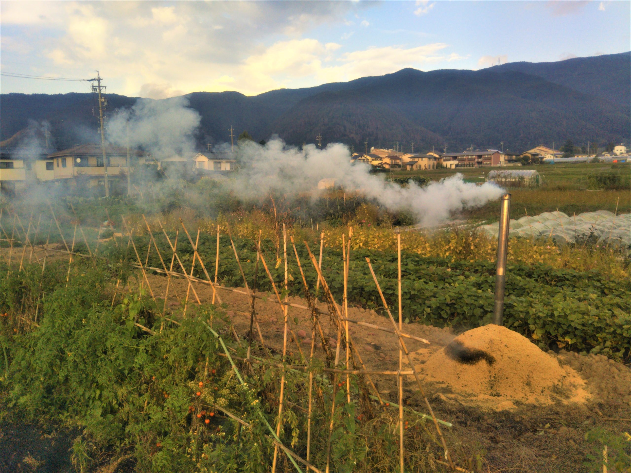 Life Outside the Castle Walls harvest