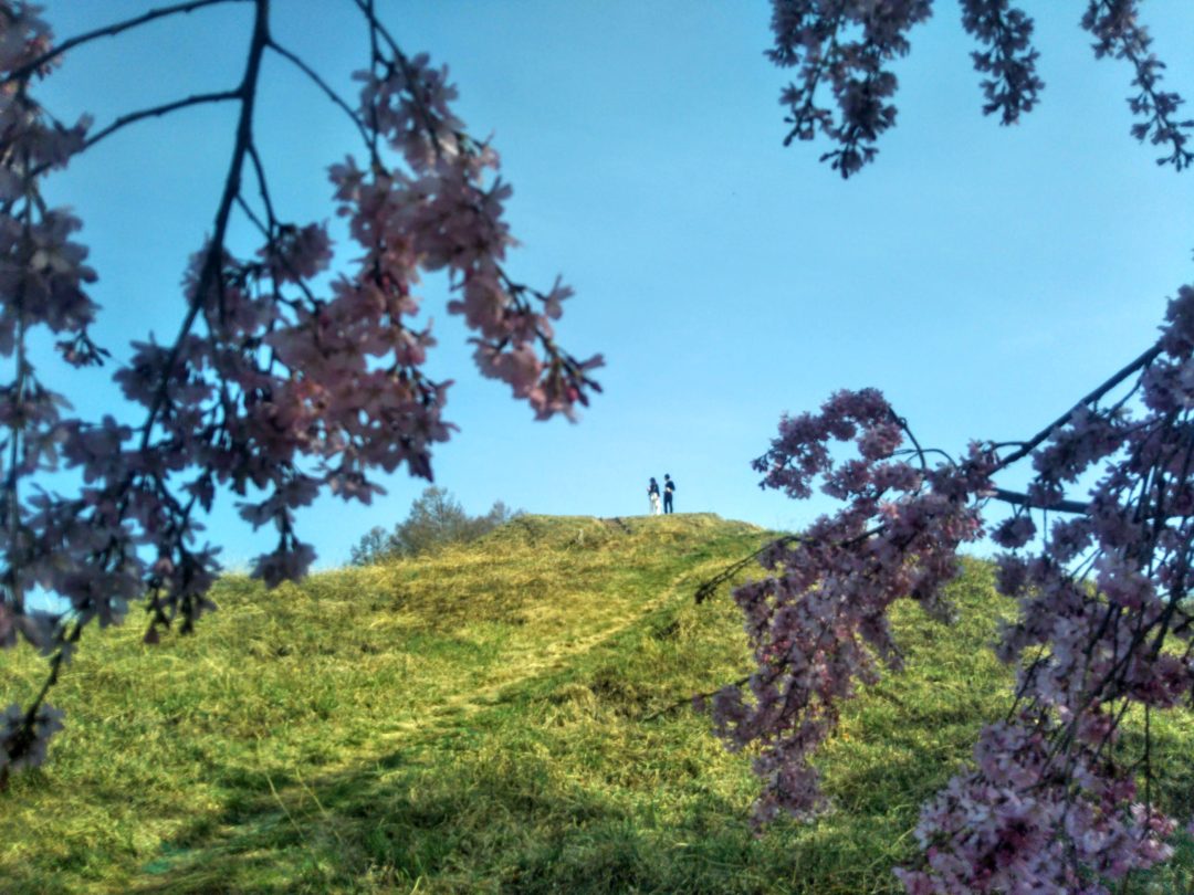 Mount Koboyama Summit