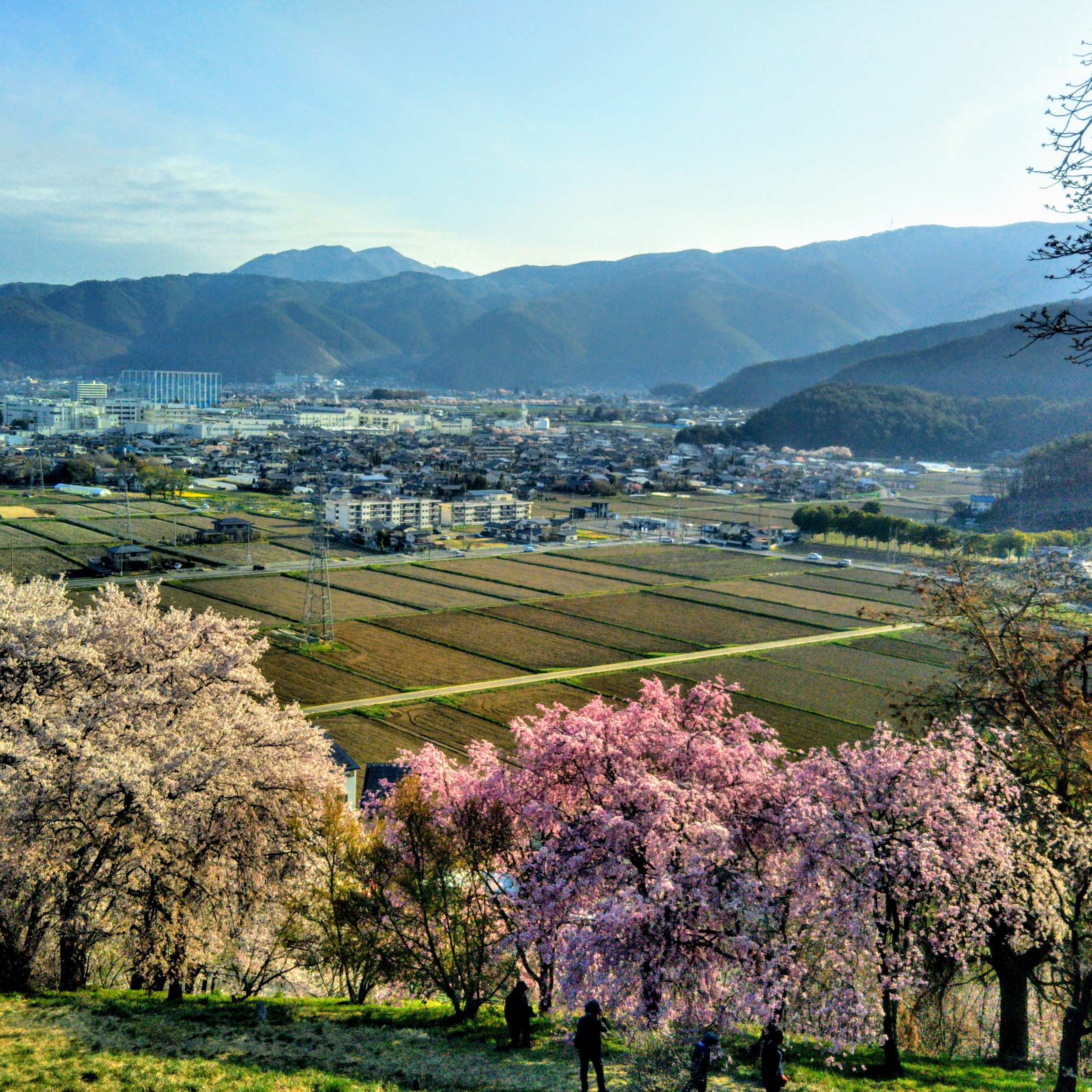 Spots To Visit koboyama