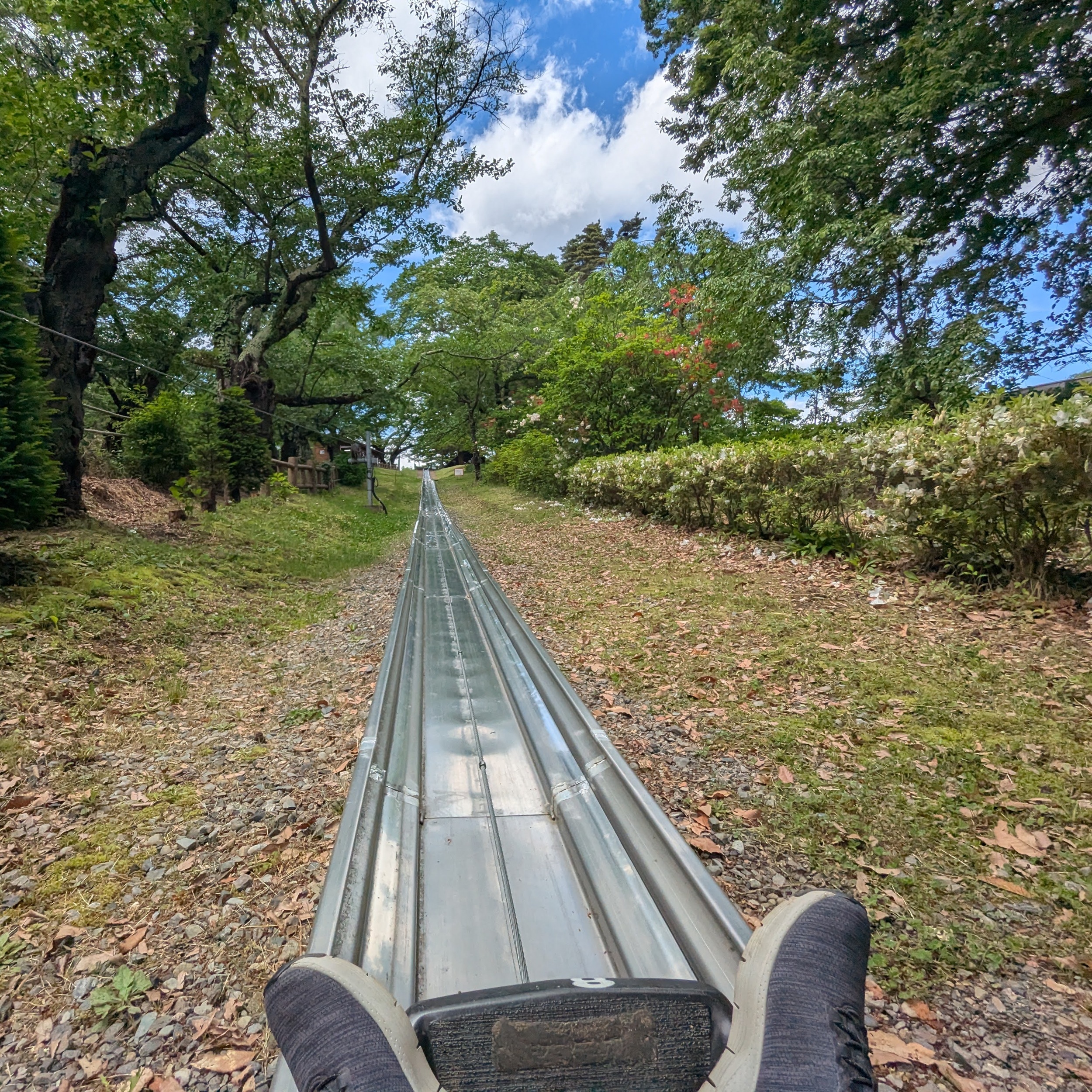 alps park family trip