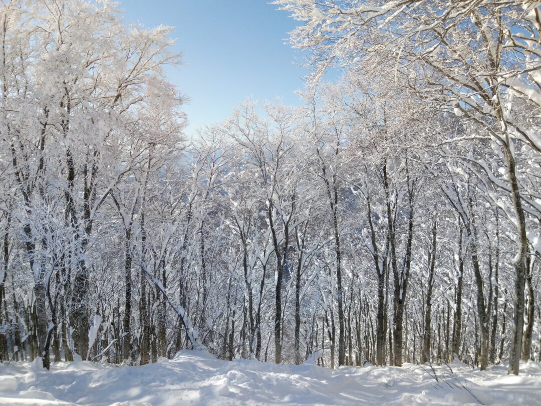 Temples et Histoire de Togakushi